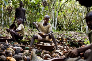 Child labour and cocoa farms - a widespread issue in West Africa. Source: Forbes